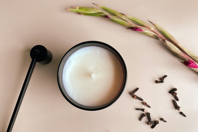 Geurkaars van natuurlijke was in een minimalistisch zwart potje, vergezeld van rozenknopjes en kruidnagels, die een elegante en geurige sfeer creëren. Ernaast een zwarte metalen kaars dover, perfect om de vlam veilig te doven.